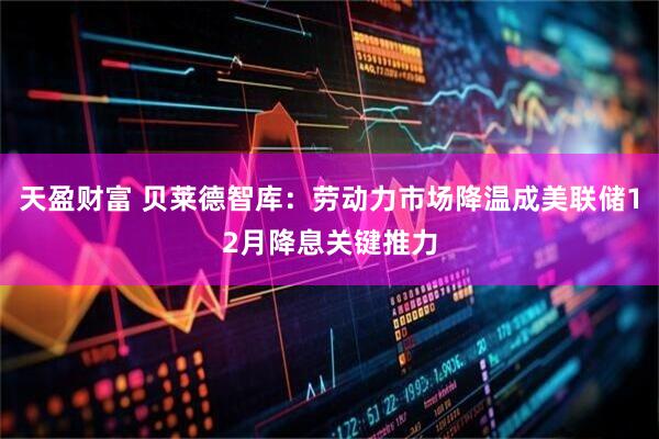 天盈财富 贝莱德智库：劳动力市场降温成美联储12月降息关键推力
