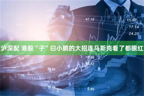 泸深配 港股“子”曰小鹏的大招连马斯克看了都眼红