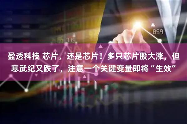 盈透科技 芯片，还是芯片！多只芯片股大涨，但寒武纪又跌了，注意一个关键变量即将“生效”