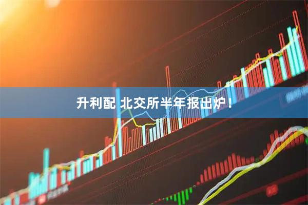 升利配 北交所半年报出炉！