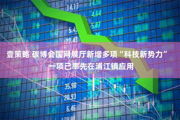 壹策略 碳博会国网展厅新增多项“科技新势力”   一项已率先在浦江镇应用